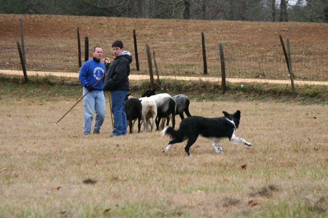 Click to see next picture