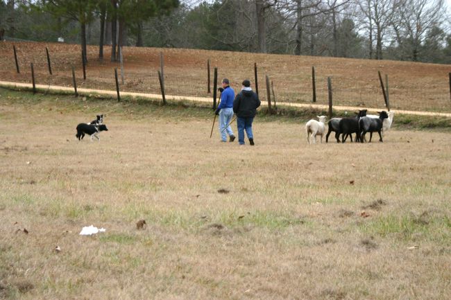 Click to see next picture