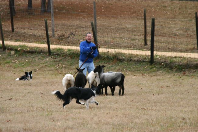 Click to see next picture