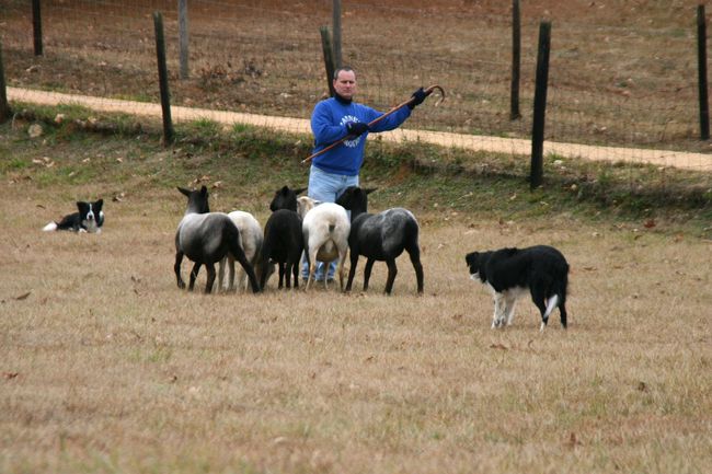 Click to see next picture