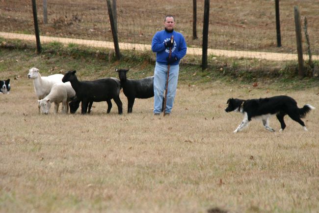 Click to see next picture