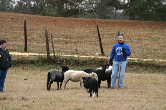 Click to see next picture