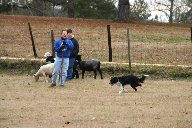 Click to see thumbs page