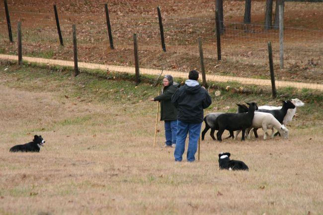 Click to see next picture