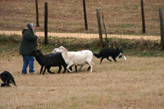 Click to see next picture