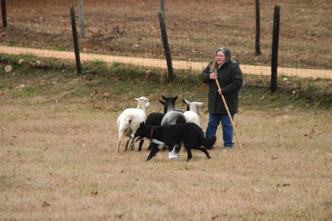 Click to see next picture