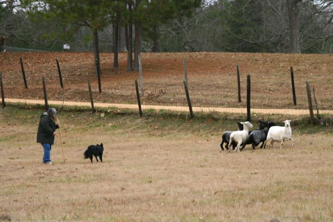 Click to see next picture