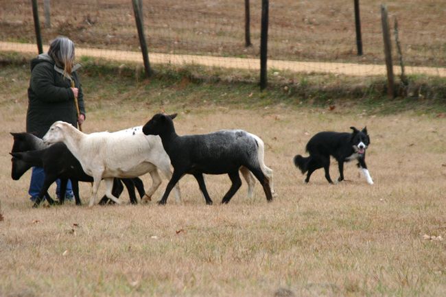 Click to see next picture