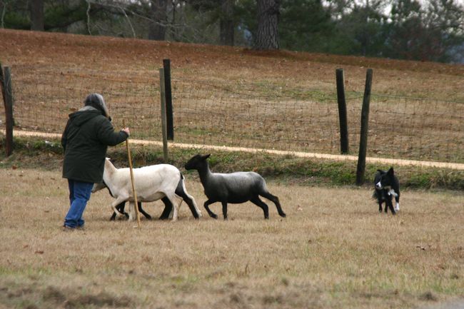 Click to see next picture