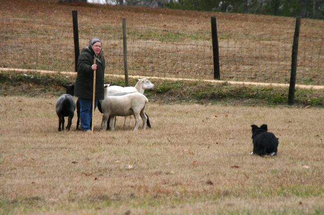 Click to see thumbs page