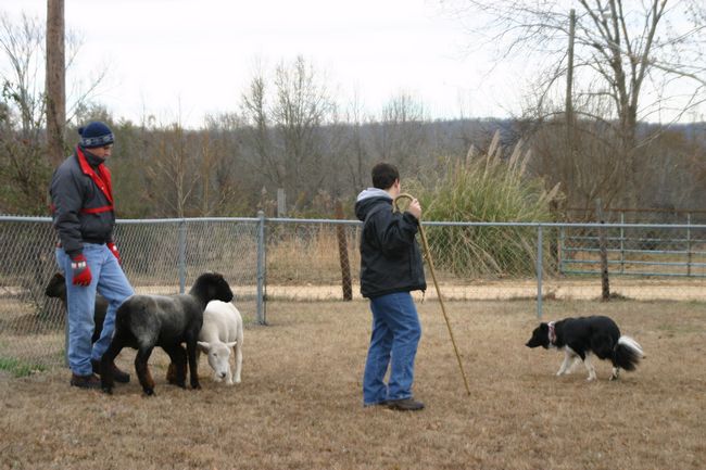 Click to see next picture