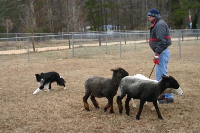 Click to see next picture