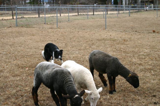 Click to see next picture