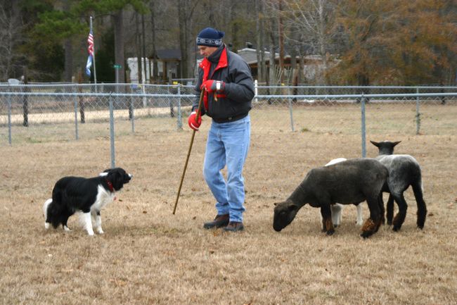 Click to see next picture