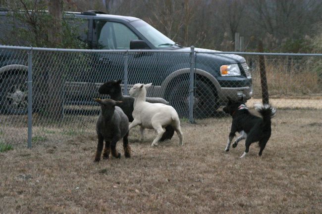 Click to see next picture