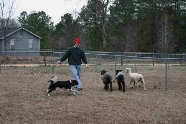 Click to see next picture