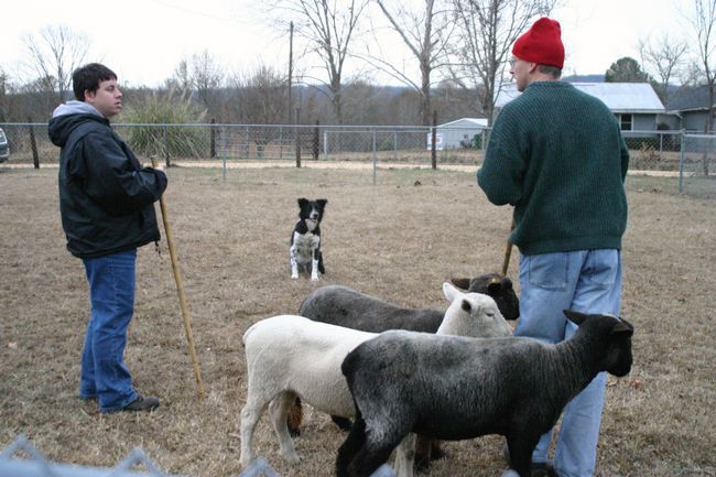 Click to see next picture