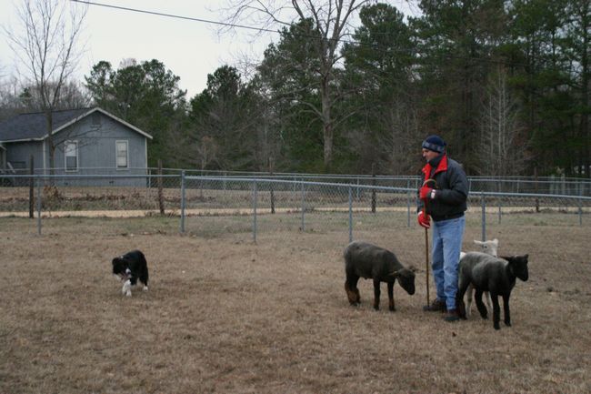 Click to see next picture