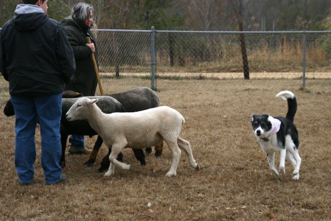 Click to see next picture