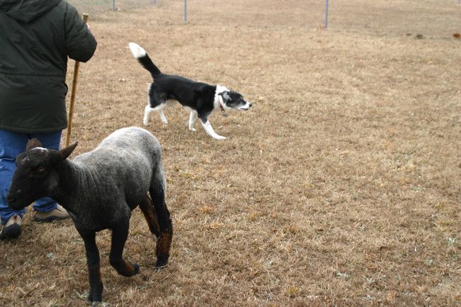 Click to see next picture