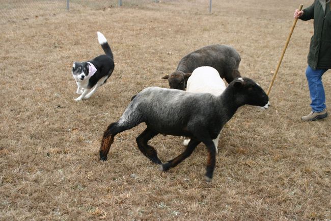 Click to see next picture