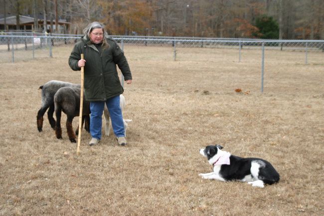 Click to see next picture