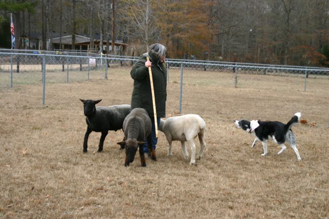 Click to see next picture