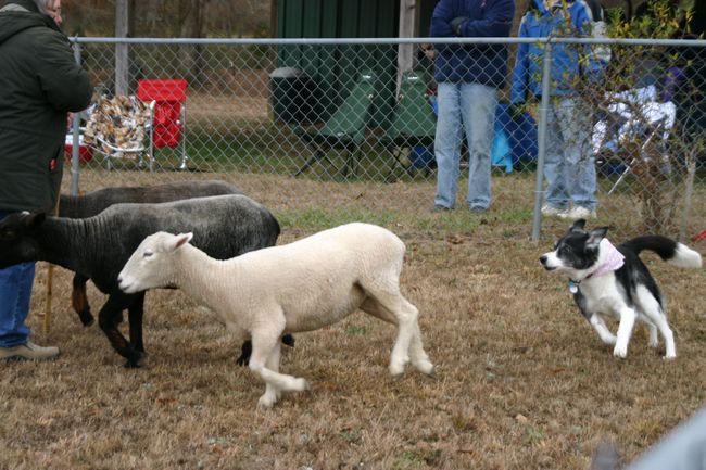 Click to see next picture