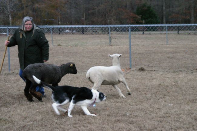 Click to see thumbs page