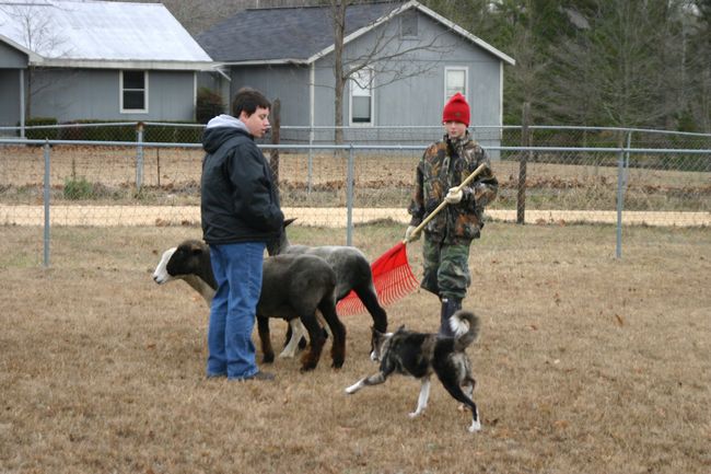 Click to see next picture