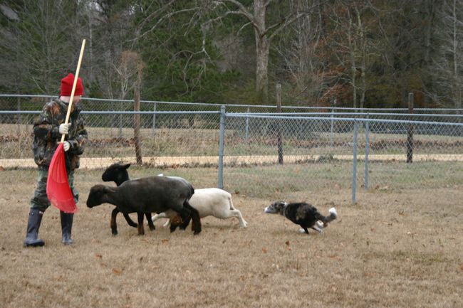 Click to see next picture