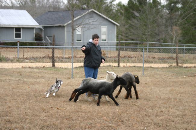 Click to see next picture