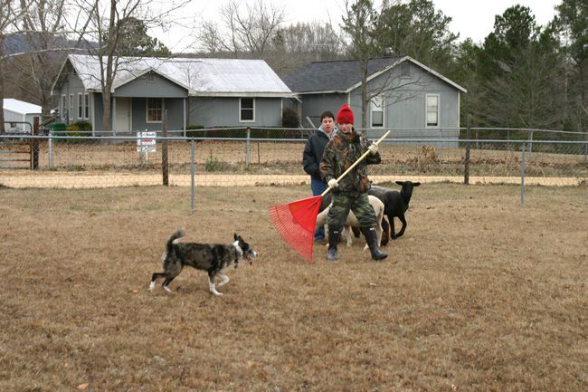 Click to see next picture