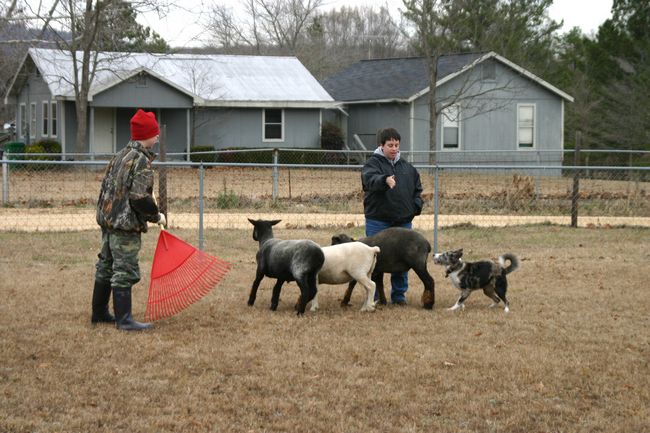 Click to see next picture