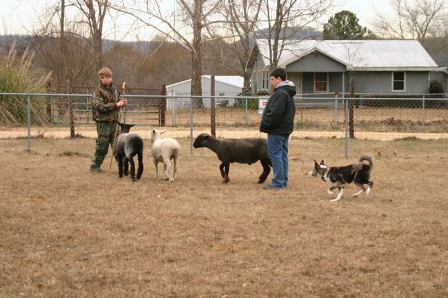 Click to see next picture