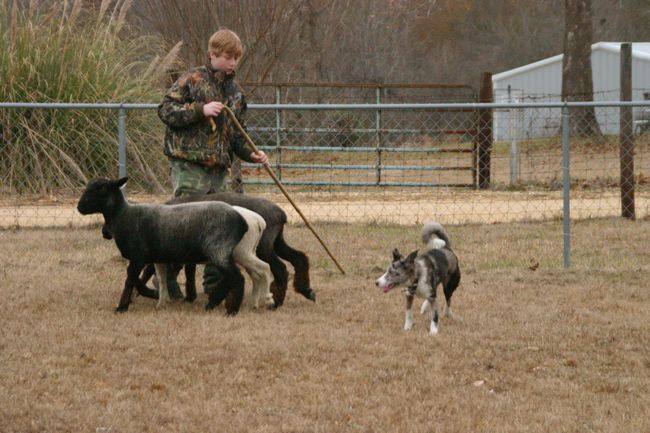 Click to see next picture