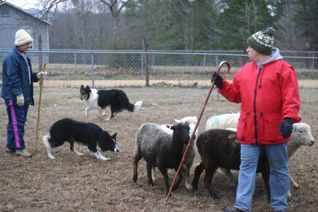 Click to see next picture