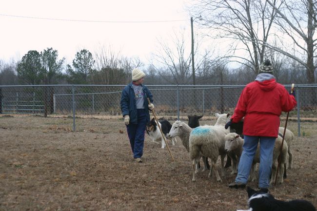 Click to see next picture