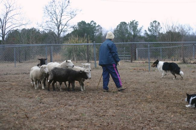 Click to see next picture