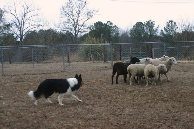 Click to see next picture