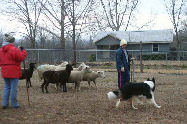 Click to see next picture