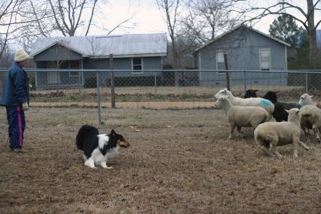 Click to see next picture