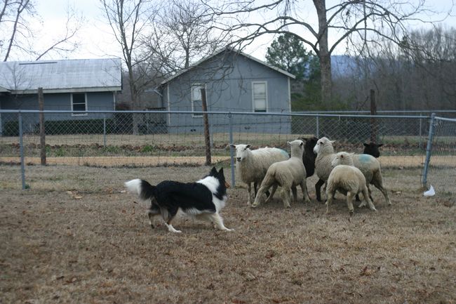 Click to see next picture