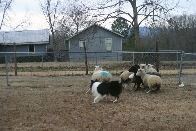 Click to see next picture