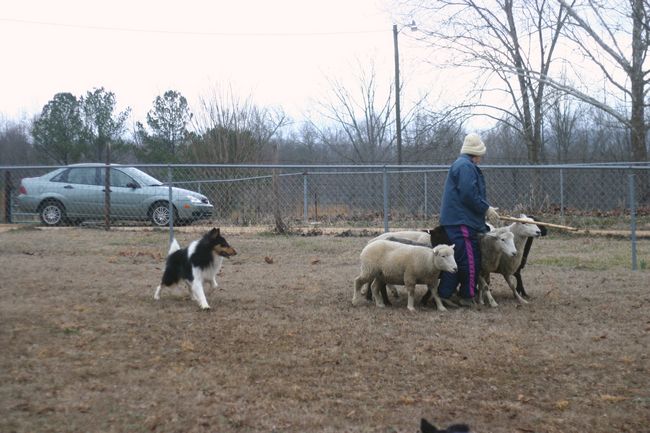 Click to see next picture