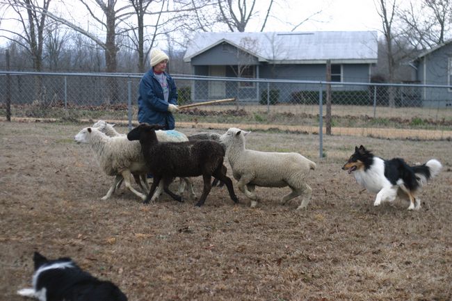 Click to see thumbs page