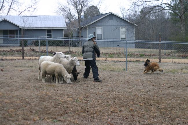 Click to see next picture