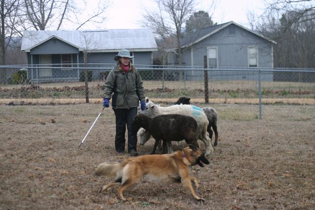 Click to see next picture