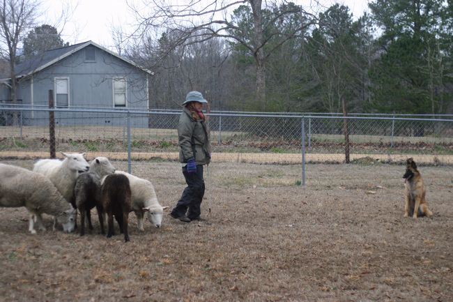 Click to see thumbs page