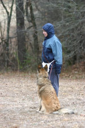 Click to see next picture